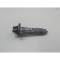 Болт Citroen-Peugeot 407 (2004 - 2010)  352273