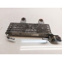Радиатор (маслоохладитель) АКПП Hyundai-Kia Santa Fe (SM)/ Santa Fe Classic (2000 - 2012) 2546026510