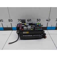 Блок предохранителей Hyundai-Kia Opirus (2003 - 2010) 919503F030