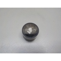 Толкатель клапана гидравлический VAG Polo (1999 - 2001) 038109309C