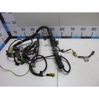 Проводка (коса) Citroen-Peugeot C5 (2001 - 2004) 655821