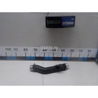 Патрубок интеркулера Hyundai-Kia Carnival (2005 - 2014) 281604X900