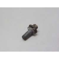 Болт цапфы Renault Megane III (2009 - 2016) 7703002880