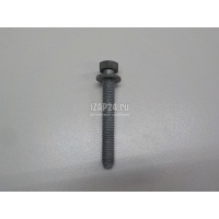 Болт опоры Renault Duster 2012 7703101630