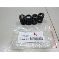 Пружина клапана Nissan Almera (G15) (2013 - 2018) 1320300QAA