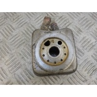 Радиатор масляный Skoda Octavia A4 2000-2011 078117021A