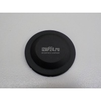 Заглушка VAG Rapid 2020 059903343
