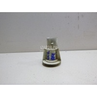 Патрон указателя поворота VAG Octavia (A4 1U-) (2000 - 2011) 1U0953123B