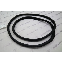 Уплотнитель проема задней двери LH=RH Mercedes S-Klasse W222 2013 A22269703519B00
