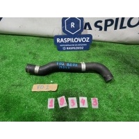 патрубок радиатора Honda Civic FD2 2008 19501RRAA01