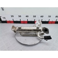 Радиатор системы ЕГР Volkswagen Passat 5 (-) 2000 038131521AS