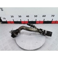 Патрубок системы охлаждения Ford Focus 1 (1998-2004) 2003 ,1461332