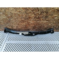 Решетка стеклоочистителя (Дождевик) BMW 5 E39 2002 51718159292