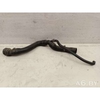 Патрубок радиатора Volkswagen Bora 1999 1J0122101P