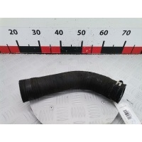 Патрубок турбины Renault Megane 1 (-) 2002 8200065740