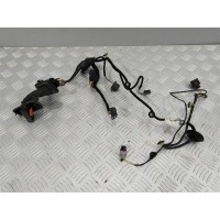 Проводка двери Volkswagen Passat B7 2011 3AA971693CD