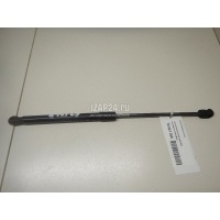 Амортизатор капота Hyundai-Kia Santa Fe (CM) (2006 - 2012) 811602B000