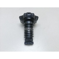 Болт крепления запасного колеса VAG Jetta (2006 - 2011) 1K0803899E