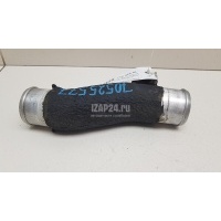 Патрубок интеркулера Hyundai-Kia Carnival (2005 - 2014)  282512F001