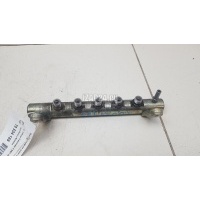 Рейка топливная (рампа) Land Rover Freelander 2 (2007 - 2014) LR022334