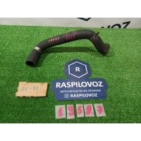 патрубок радиатора Toyota Camry sv43 04.1997 1657274260
