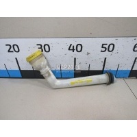 Горловина бачка омывателя Renault Fluence (2010 - 2017) 289103155R