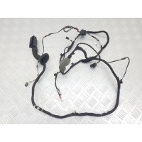 Проводка двери BMW 5 G30/G31 7 (2016 - 2020) 2020 111078.