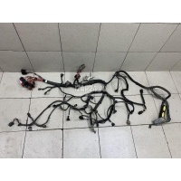 Проводка (коса) Renault Duster 2012 240114729R