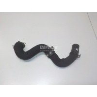 Шланг системы охлаждения VAG Allroad quattro (2012 - 2019) 4G0121448AG