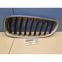 Решетка радиатора левая BMW Z4 E89 2009-2016 51137191509