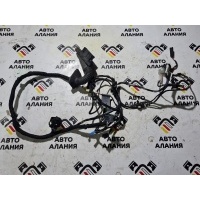 проводка двери BMW X1 E84 2009 63317181314
