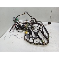 Проводка подторпедная Ford Fusion 2007 1639555