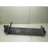 Радиатор интеркулера Renault Kangoo I (1998-2008) 2002 8200221885