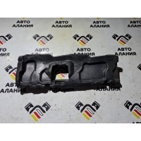 Уплотнитель BMW X5 E70 2008 51717163145