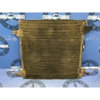 радиатор кондиционера Mercedes-Benz ML-Class W163 2001 1638300170