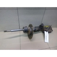 Амортизатор передний левый BMW X5 E53 (2000 - 2007) 31316764603