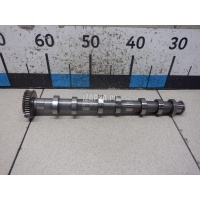 Распредвал выпускной VAG Q7 [4L] (2005 - 2015) 059109009DJ