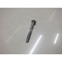 Саморез VAG Q7 [4L] (2005 - 2015) WHT000704