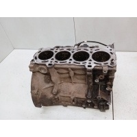 Блок цилиндров Ford Fiesta CBK, MK5 2002 1302391