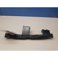 Направляющая стекла задней левой двери Chevrolet Volt 1 2010-2015 20985449
