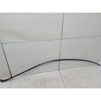 Молдинг крыши Mercedes-Benz S-Class W221 2006 A2216900780