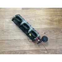 Сервопривод заслонок впускного коллектора Audi A6 4F/C6 2011 06E133110AK