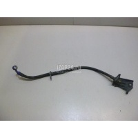 Шланг тормозной задний правый Honda Accord VIII (2008 - 2015) 01466TL0G50