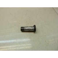 Болт Renault Sandero (2009 - 2014) 8200740284