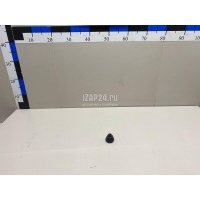 Втулка (кузов наружные элементы) Nissan Patrol (Y62) 2010 287161BA0A