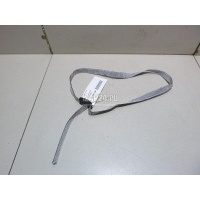 Лента стяжная VAG Rapid 2020 6H0867749
