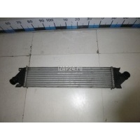 Интеркулер Ford Focus II (2005 - 2008) 1673687