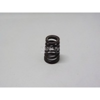 Пружина клапана VAG Golf IV/Bora (1997 - 2005) 06B109623