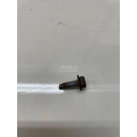Винт Renault Kangoo (2003 - 2008) 7701070218