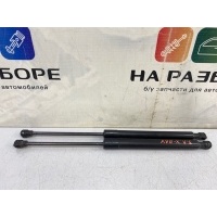 амортизатор багажника LADA XRAY BAG 2019 904524809R